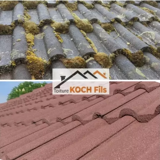 Démoussage toiture Lyon